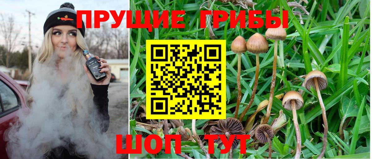 Псилоцибиновые грибы MAGIC MUSHROOMS  Галлюциногенные грибы ЛСД  Россошь  Вход с VPN 