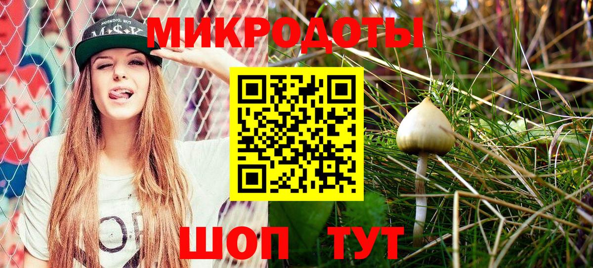 Псилоцибиновые грибы GOLDEN TEACHER Россошь